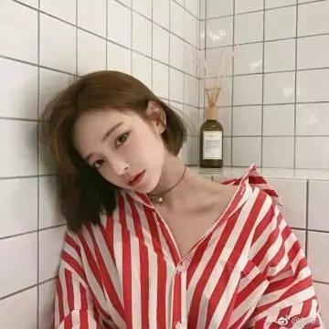 网中的太阳